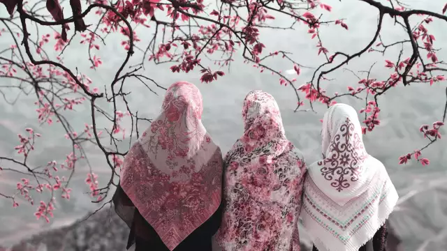 sisters cherry tree