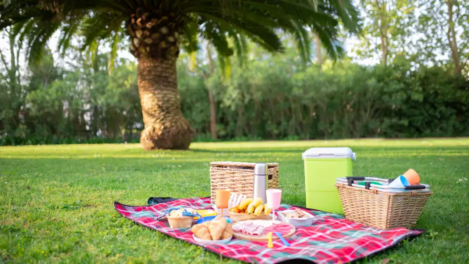 picnic